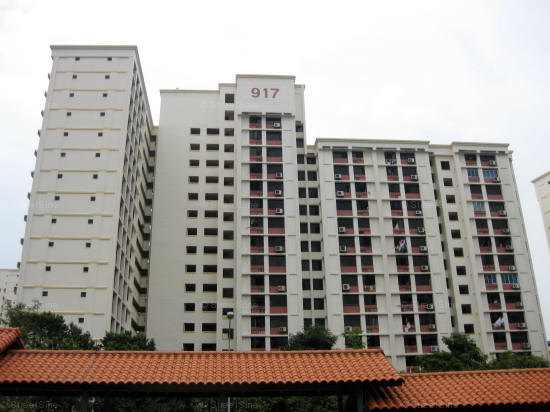 Blk 917 Hougang Avenue 9 (S)530917 #247042